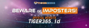 tiger 365